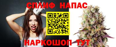 индика Добрянка