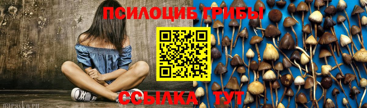 Псилоцибиновые грибы прущие грибы Будённовск